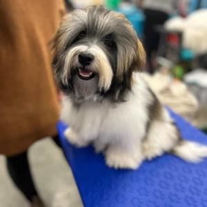 Meet your Posher, April